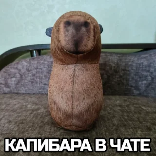 💬 emoji Капибара @bloptop Telegram sticker 2 of 33