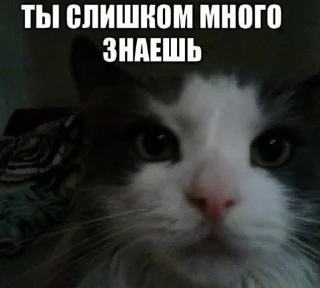 😡 emoji Какаято херня Telegram sticker 24 of 30
