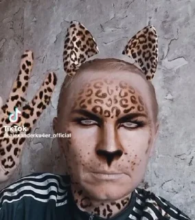 😼 emoji Какаято херня Telegram sticker 16 of 30