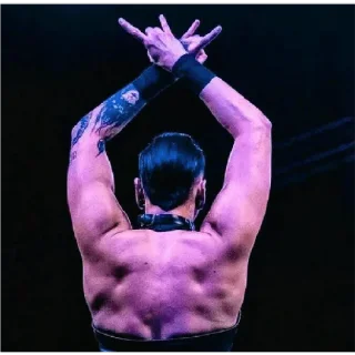 🤘 emoji Rhea Ripley Telegram sticker 22 of 27