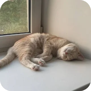 💤 emoji котики<3 || @lladnq Telegram sticker 9 of 25