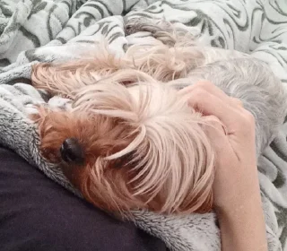 😴 emoji ева моя любимая Telegram sticker 13 of 17