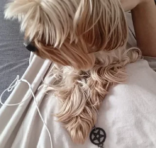 💗 emoji ева моя любимая Telegram sticker 5 of 17