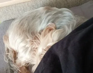 😴 emoji ева моя любимая Telegram sticker 8 of 17