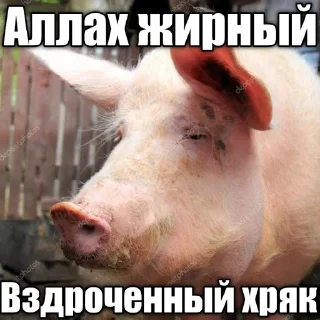 Sticker from @Elochniy_Liberal