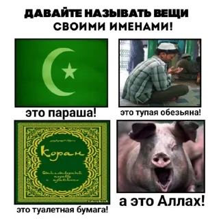 Sticker from @Elochniy_Liberal