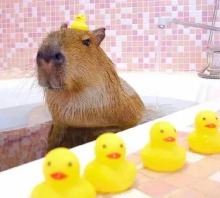 🐤 emoji капибари лове Telegram sticker 11 of 95