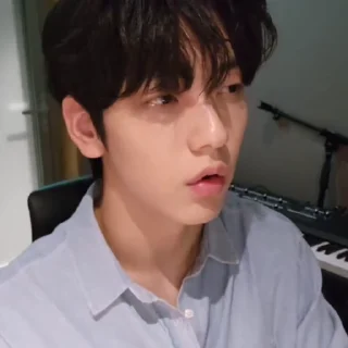🦕 emoji soobin ★ @WRRTJJ Telegram sticker 22 of 40