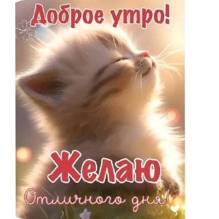 Sticker from Православные Открытки @korolpupsikov