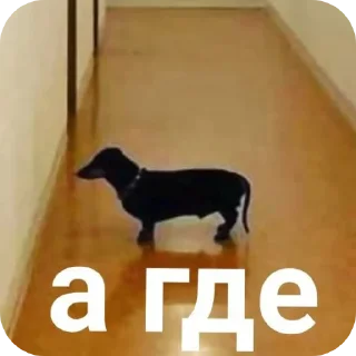 Sticker from Геннадий