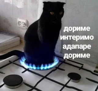 🔮 emoji кисечки Telegram sticker 14 of 24