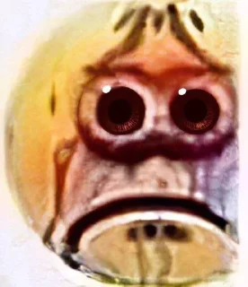 😭 emoji какая то фигня Telegram sticker 7 of 64