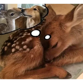 🦌 emoji deers >_< Telegram sticker 8 of 24