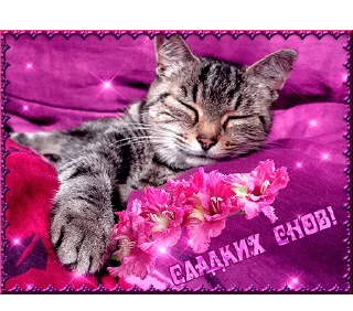 😴 emoji WhatsApp JPG (@pt_stickers) Telegram sticker 15 of 17