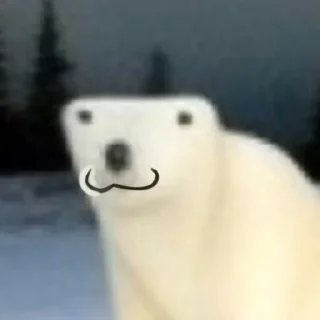 🙃 emoji медвед от Еленачки Telegram sticker 5 of 17