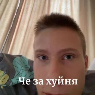 🤩 emoji Соня дура Telegram sticker 21 of 80