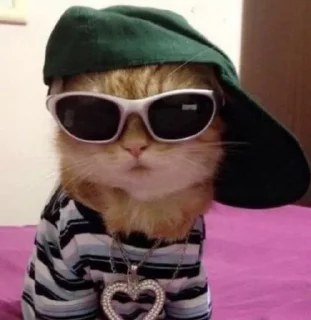 😎 emoji котики лины Telegram sticker 23 of 25