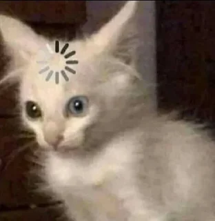 🙂 emoji котики лины Telegram sticker 10 of 25