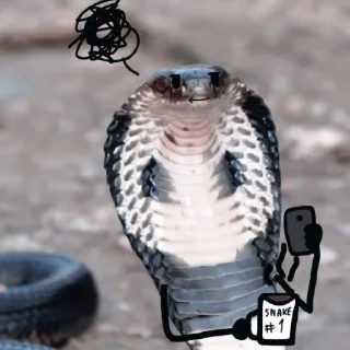 🐍 emoji 𝐀𝐒𝐏𓆗𝐃 ↹ @aspidrp Telegram sticker 20 of 48