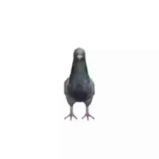 🌟 emoji Твоя жиза ахахх Telegram sticker 9 of 26