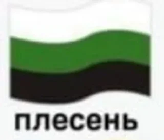 🌟 emoji Флажки штирлица {@newbloodie} Telegram sticker 22 of 29