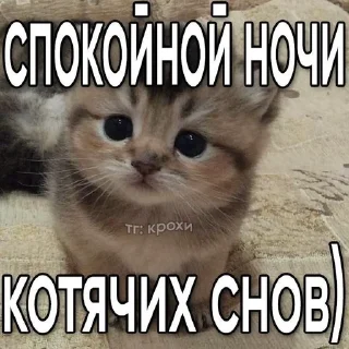 😴 emoji Невдупленыши Telegram sticker 21 of 105
