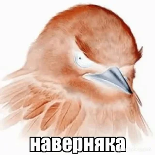 🐦 emoji Вряд-ли №2 Telegram sticker 11 of 90