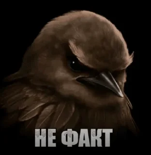 🌟 emoji Вряд ли @flotikpon4ik Telegram sticker 24 of 53