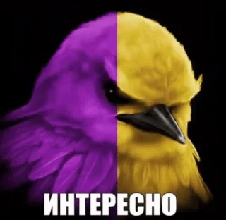 🌟 emoji Вряд-ли Telegram sticker 16 of 120