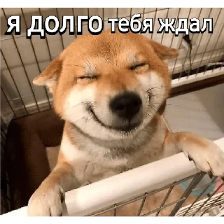 🥰 emoji Че Telegram sticker 14 of 41