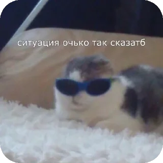 😎 emoji Хзче Telegram sticker 13 of 104