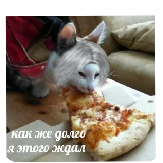🍕 emoji Хзче Telegram sticker 20 of 104