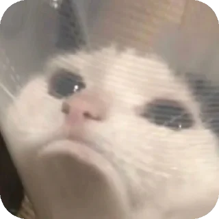 ☹ emoji Хзче Telegram sticker 17 of 104