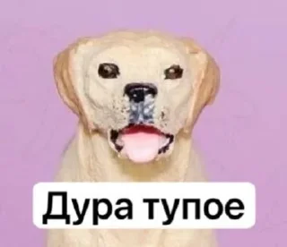 😝 emoji От горького меня торчит Telegram sticker 14 of 25