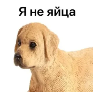 🍳 emoji От горького меня торчит Telegram sticker 12 of 25
