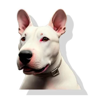 💩 emoji Dogs & cats Telegram sticker 17 of 21