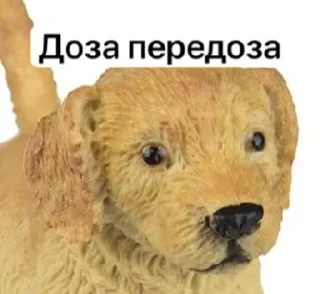 🇧🇩 emoji От горького меня торчит Telegram sticker 9 of 25