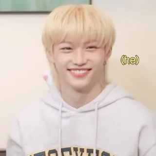 😇 emoji felix stray kids by @lllisaaaaa Telegram sticker 12 of 30