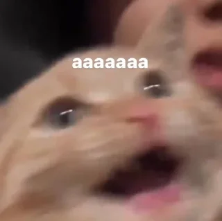 😩 emoji котейка Telegram sticker 9 of 37