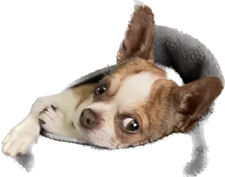 😏 emoji чебок Telegram sticker 8 of 25