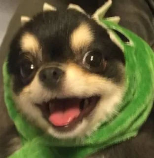 😏 emoji DOGvolk Telegram sticker 17 of 45