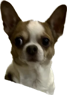 ☹️ emoji чебок Telegram sticker 10 of 25