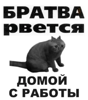 😞 emoji ШО-2 Telegram sticker 17 of 50