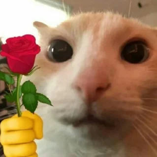 😘 emoji э каво Telegram sticker 8 of 21