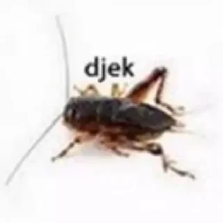 🪳 emoji мухамад сука Telegram sticker 2 of 55