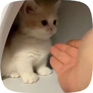 🤔 emoji Бот со стикерами: @RomanceGuidesBot Telegram sticker 17 of 32