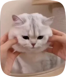 😍 emoji Бот со стикерами: @RomanceGuidesBot Telegram sticker 23 of 32