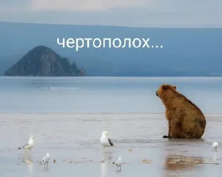 Sticker from в моих слезах нейротоксин ||