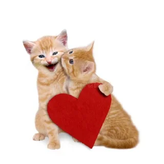 🐱 emoji :3 Telegram sticker 20 of 42