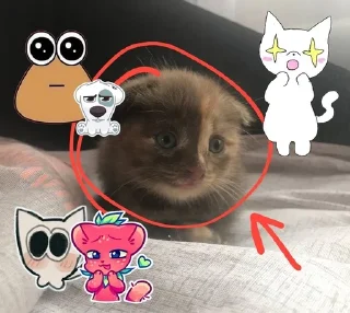 Sticker from мася